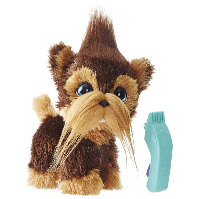 CATELUL SHAGGY SHAWN VIVE0497