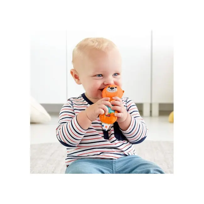 FISHER PRICE JUCARII ZORNAITOARE VIDRA VIVMTGHL23_FXC21