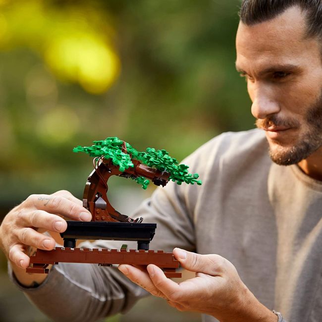 LEGO BONSAI 10281 VIVLEGO10281