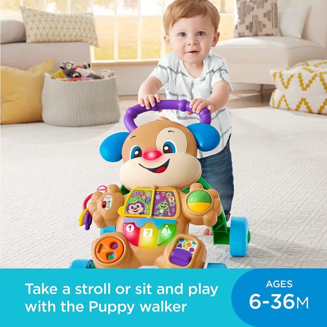 FISHER PRICE ANTEMERGATOR CATELUSUL INTERACTIV IN LIMBA ROMANA VIVMTGXR70