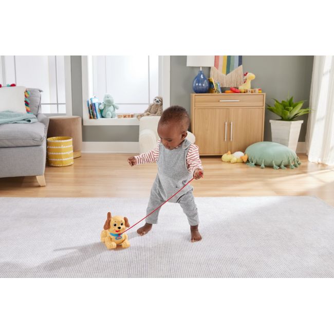 FISHER PRICE CATELUS ADORABIL VIVMTH9447