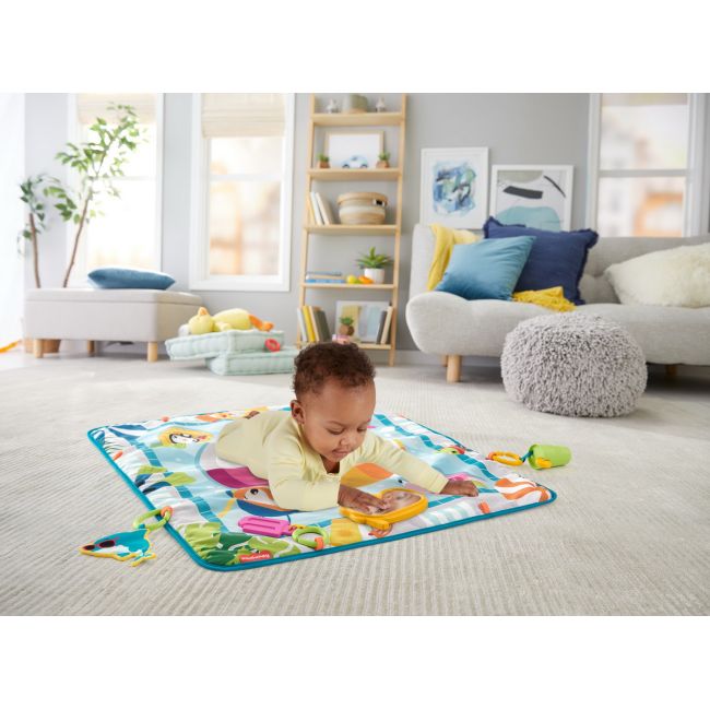 FISHER PRICE COVORAS CU ACTIVITATI VIVMTGRR44