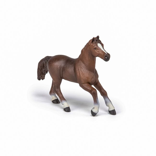 PAPO FIGURINA IAPA ANGLO-ARABA VIVPapo51075