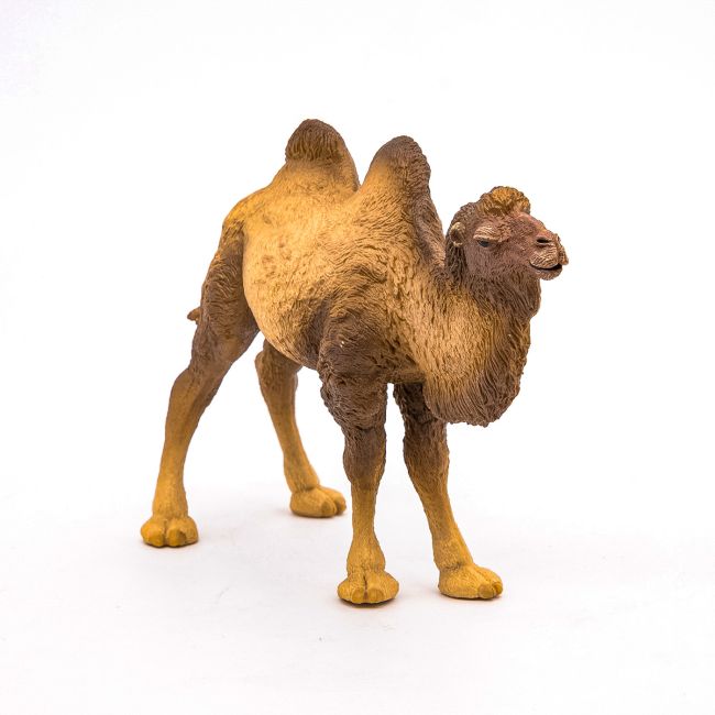 PAPO FIGURINA CAMILA BACTRIANA VIVPapo50129