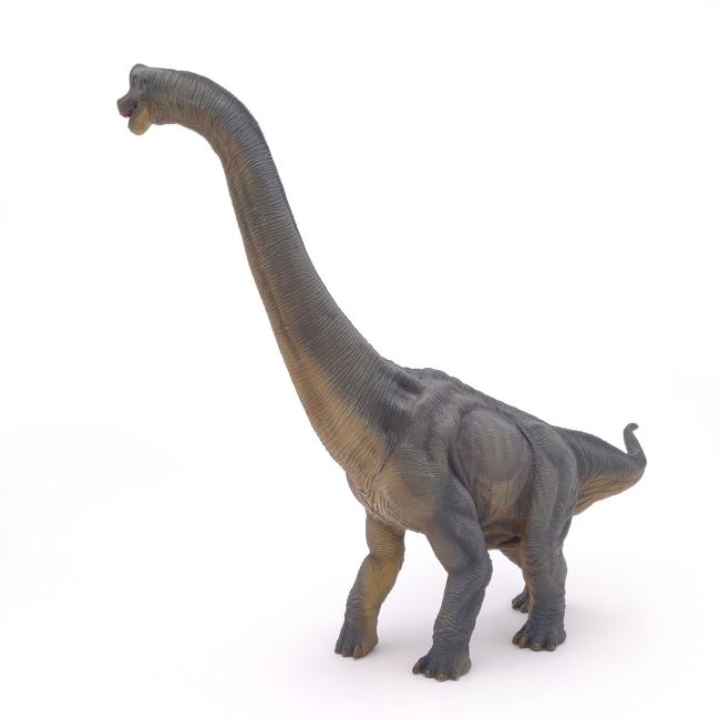 PAPO FIGURINA DINOZAUR BRACHIOSAURUS VIVPapo55030