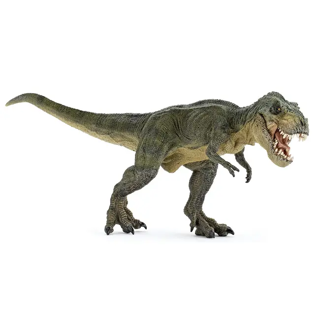 PAPO FIGURINA DINOZAUR T-REX VERDE VIVPapo55027