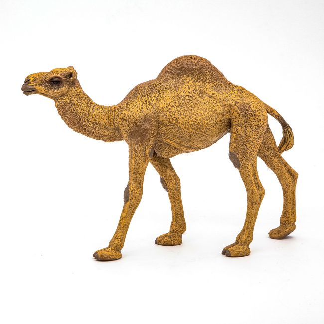 PAPO FIGURINA DROMADER VIVPapo50151