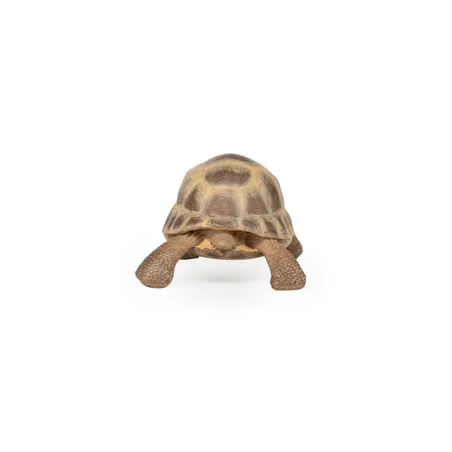 PAPO FIGURINA TESTOASA DE USCAT VIVPapo50264