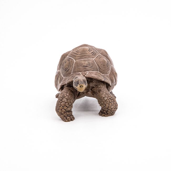 PAPO FIGURINA TESTOASA GALAPAGOS VIVPapo50161