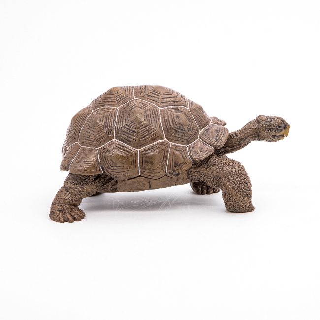 PAPO FIGURINA TESTOASA GALAPAGOS VIVPapo50161