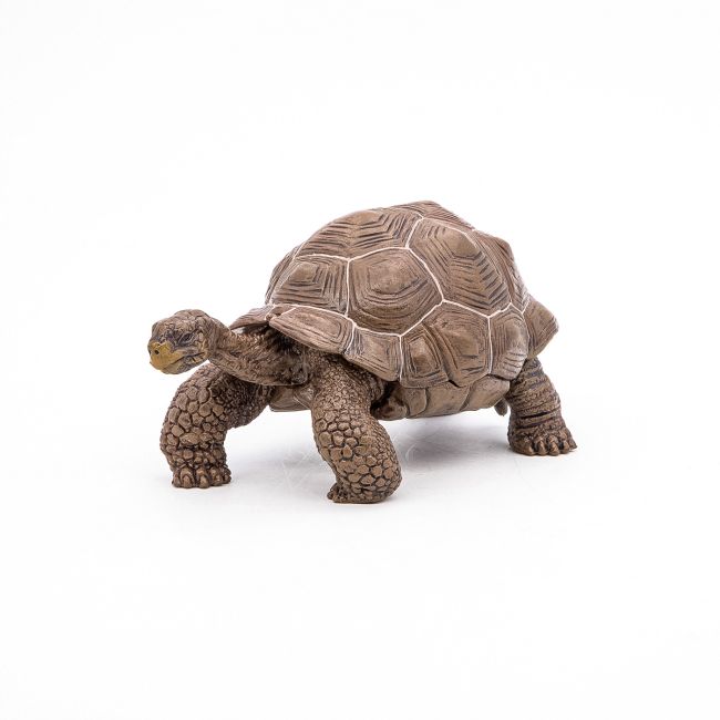 PAPO FIGURINA TESTOASA GALAPAGOS VIVPapo50161