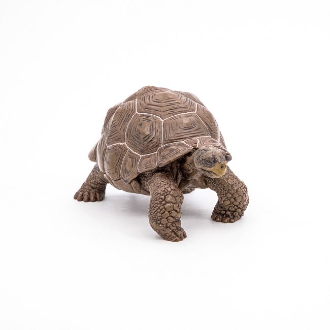 PAPO FIGURINA TESTOASA GALAPAGOS VIVPapo50161
