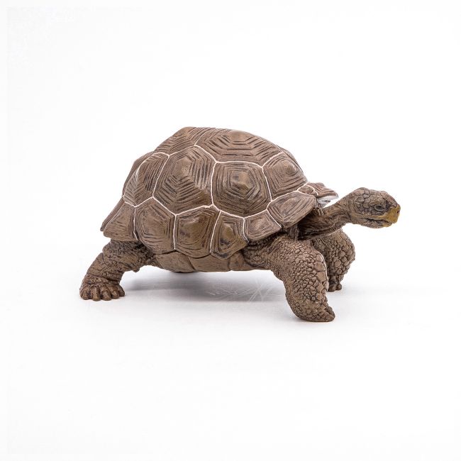 PAPO FIGURINA TESTOASA GALAPAGOS VIVPapo50161