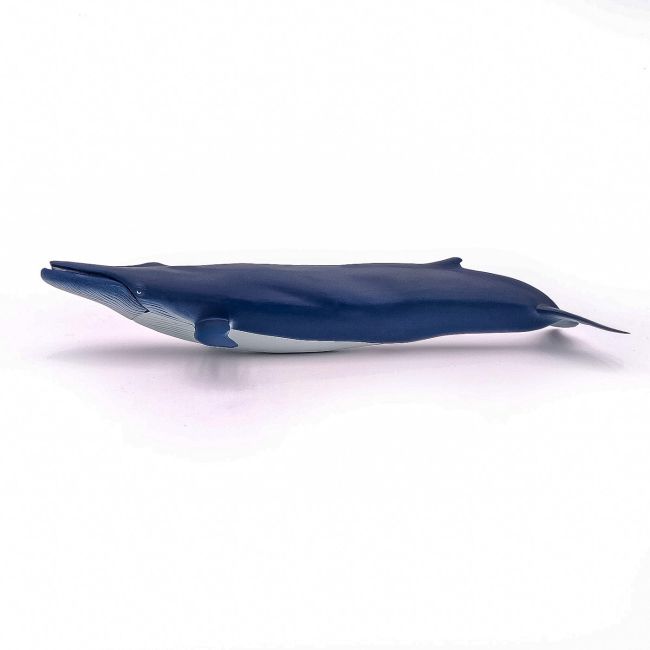 PAPO FIGURINA BALENA ALBASTRA VIVPapo56037