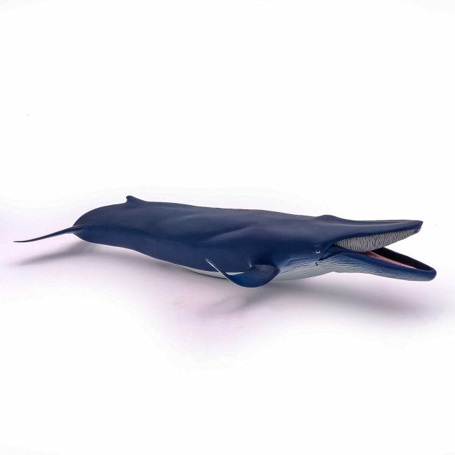 PAPO FIGURINA BALENA ALBASTRA VIVPapo56037