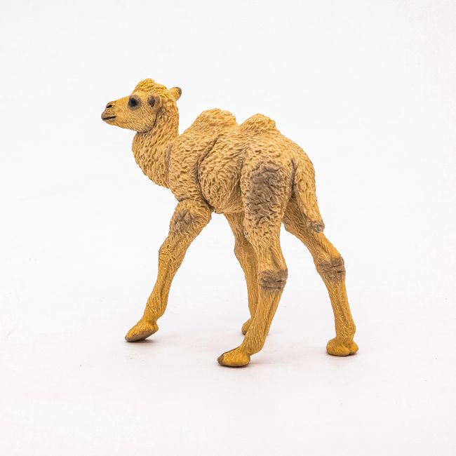 PAPO FIGURINA PUI CAMILA VIVPapo50221