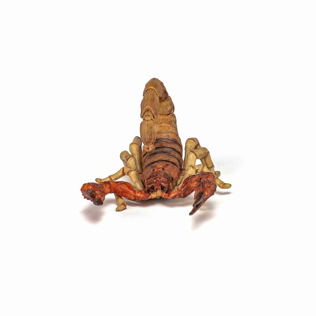 PAPO FIGURINA SCORPION VIVPapo50209