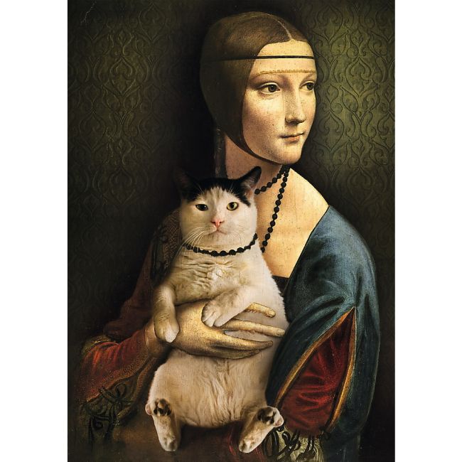 PUZZLE 1000 DOAMNA CU PISICA VIV10663