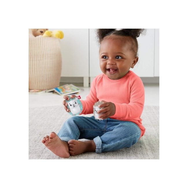 FISHER PRICE JUCARII ZORNAITOARE ARICII GEMENI VIVMTGHL23_FXC22
