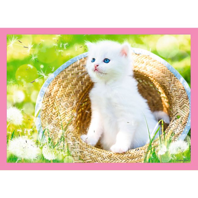 PUZZLE TREFL 4IN1 PISICUTELE DRAGALASE VIV34396