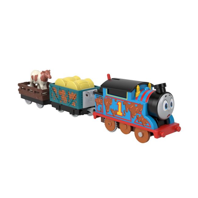 THOMAS LOCOMOTIVA MOTORIZATA THOMAS CU 2 VAGOANE VIVMTHFX97_HDY73