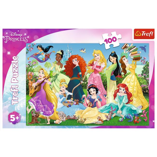 PUZZLE 100 PRINTESELE SARMANTE VIV16417