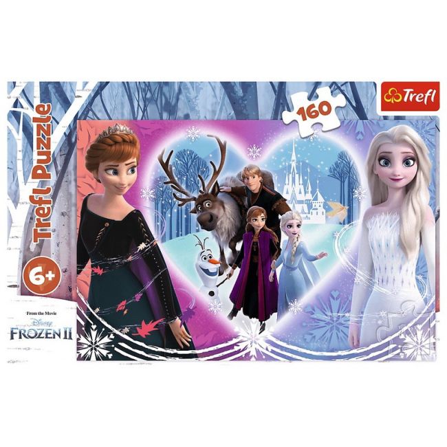 PUZZLE 160 MOMENTE VESELE VIV15408