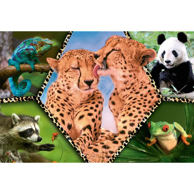 PUZZLE TREFL 100 NATURA FRUMOASA VIV16424