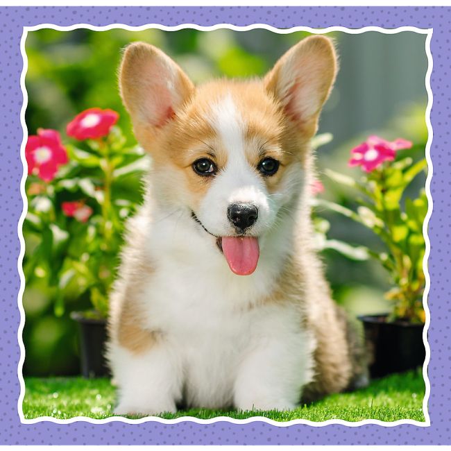 PUZZLE TREFL 3IN1 CATELUSII ADORABILI VIV34854