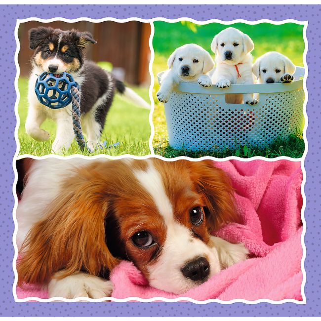 PUZZLE TREFL 3IN1 CATELUSII ADORABILI VIV34854