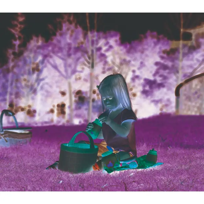 HAPE COSULETUL DE PICNIC VIVHapeE3179