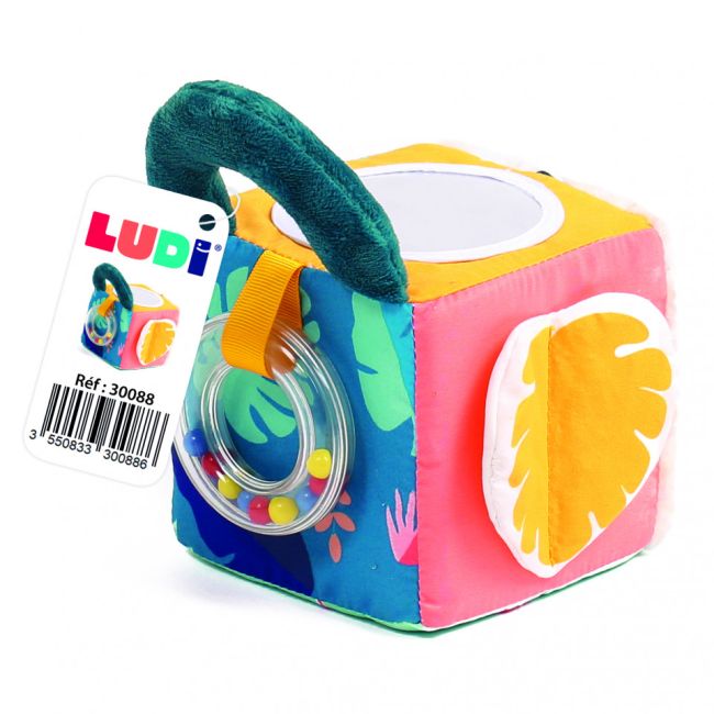 LUDI Cub activitati frunza DNBLUD30088