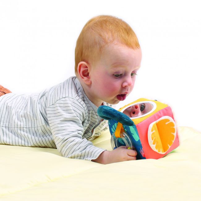LUDI Cub activitati frunza DNBLUD30088