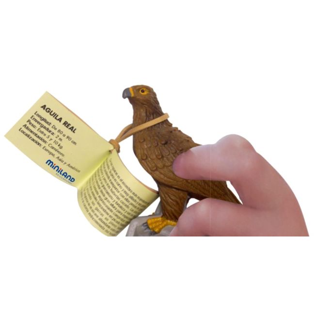 Animale din padure miniland 8 figurine  - okeml25126