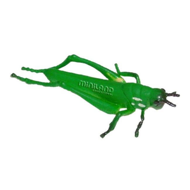 Set de 12 figurine insecte miniland - okeml27480