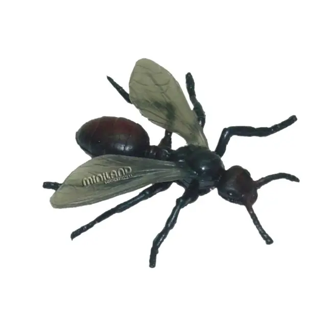 Set de 12 figurine insecte miniland - okeml27480