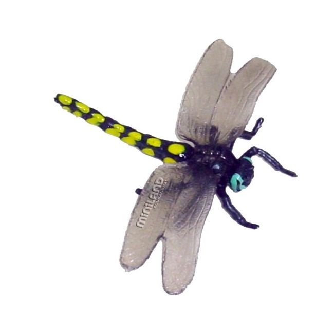 Set de 12 figurine insecte miniland - okeml27480
