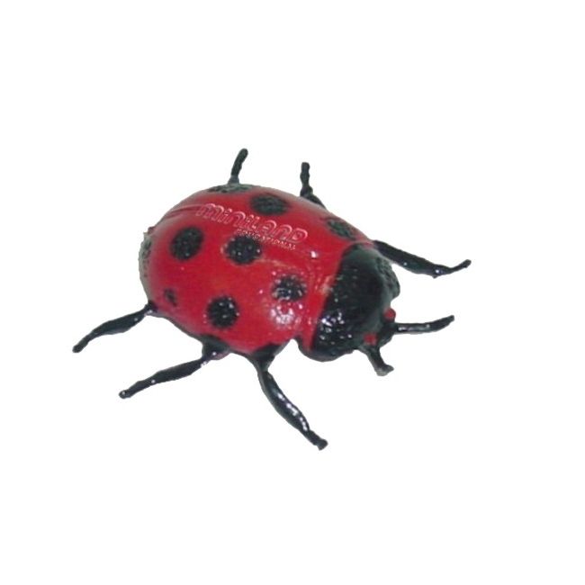 Set de 12 figurine insecte miniland - okeml27480