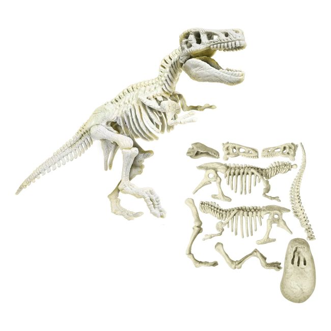 DESCOPERA DINOZAURUL T-REX VIV1026-50741