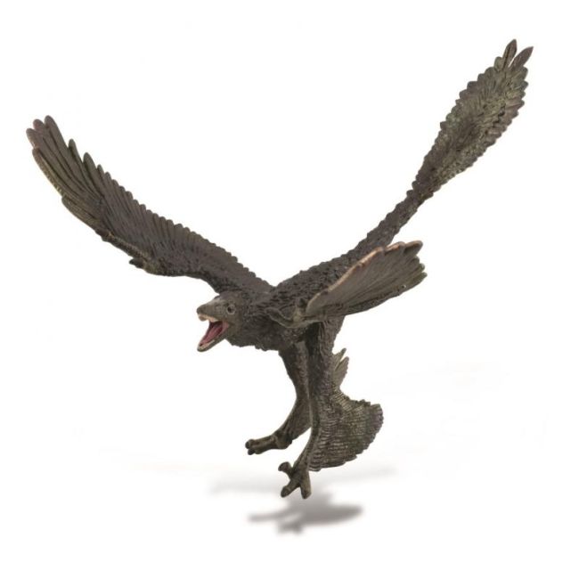 Figurina dinozaur microraptor pictata manual xl collecta - okecol88875xl