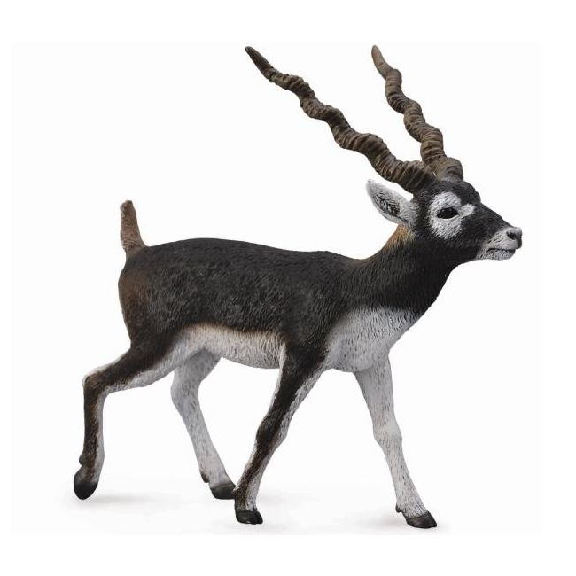 Figurina pictata manual antilopa blackbuck - okecol88638l
