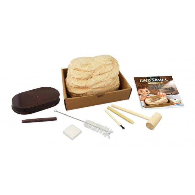 Kit de sapat - craniu t-rex de muzeu bk2130