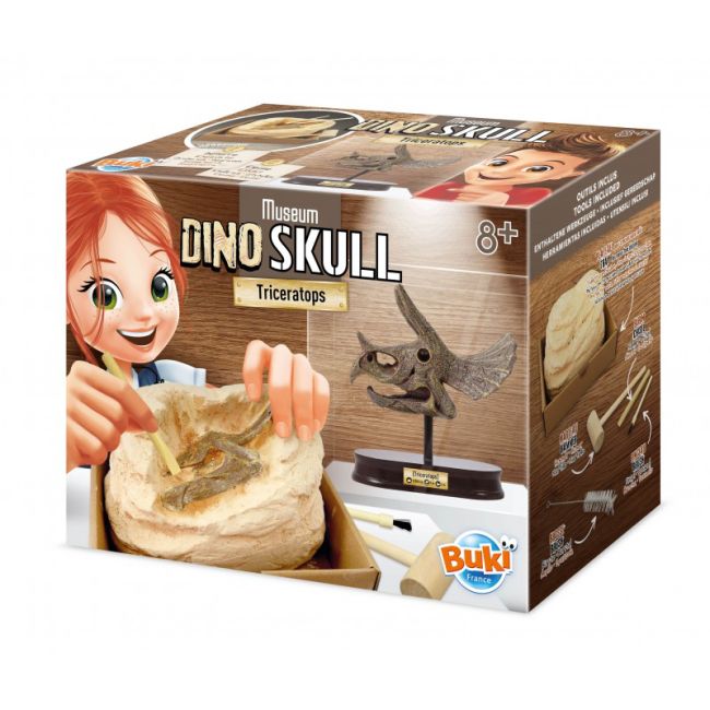 Kit de sapat - craniu triceratops de muzeu bk2131