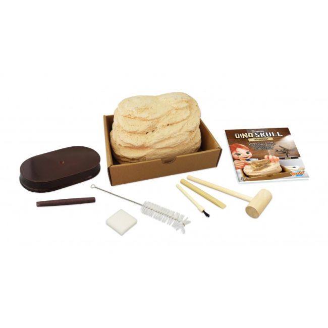 Kit de sapat - craniu triceratops de muzeu bk2131