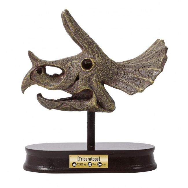Kit de sapat - craniu triceratops de muzeu bk2131