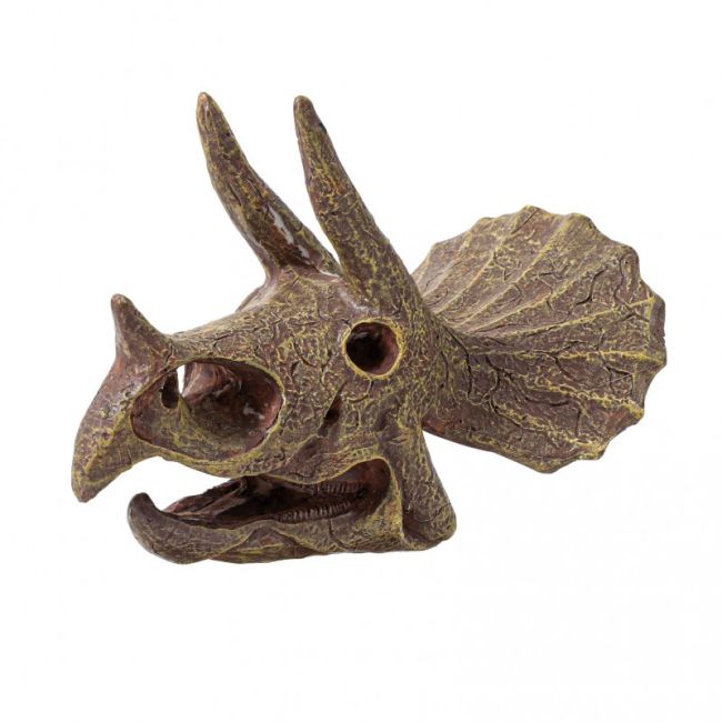 Kit de sapat - craniu triceratops de muzeu bk2131