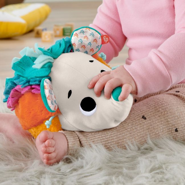 FISHER PRICE ARICIUL CU ACTIVITATI SENZORIALE VIVMTHBP42