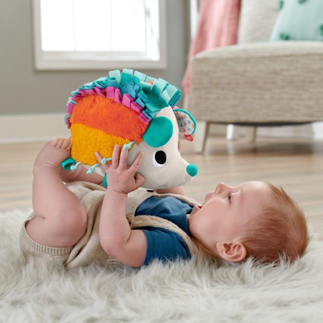 FISHER PRICE ARICIUL CU ACTIVITATI SENZORIALE VIVMTHBP42