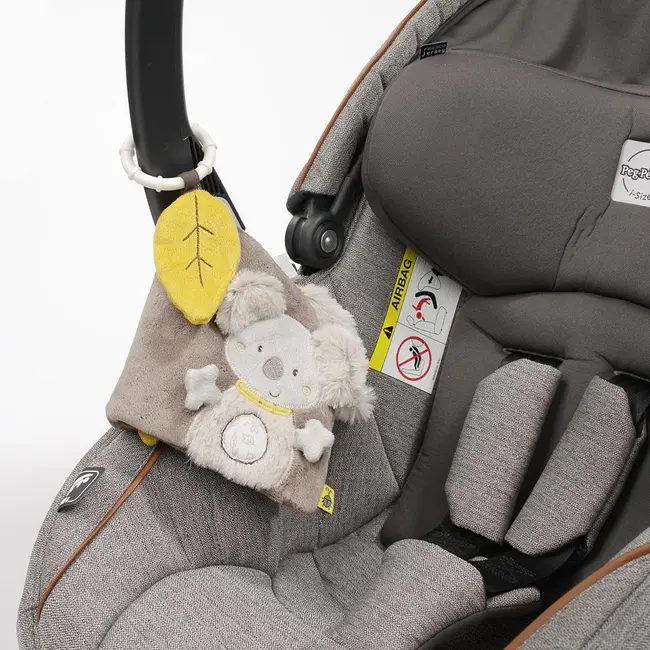 Carticica pentru bebelusi - koala