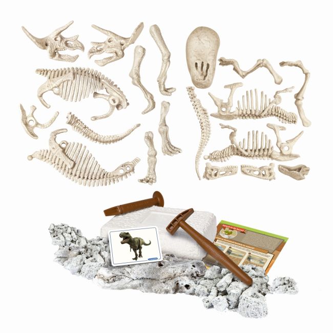 DESCOPERA DINOZAURUL T-REX & TRICERAPTOR FLUO STIINTA SI JOACA VIV1026-50749